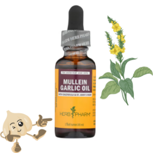 Mullein & Garlic oil Compound 1 oz